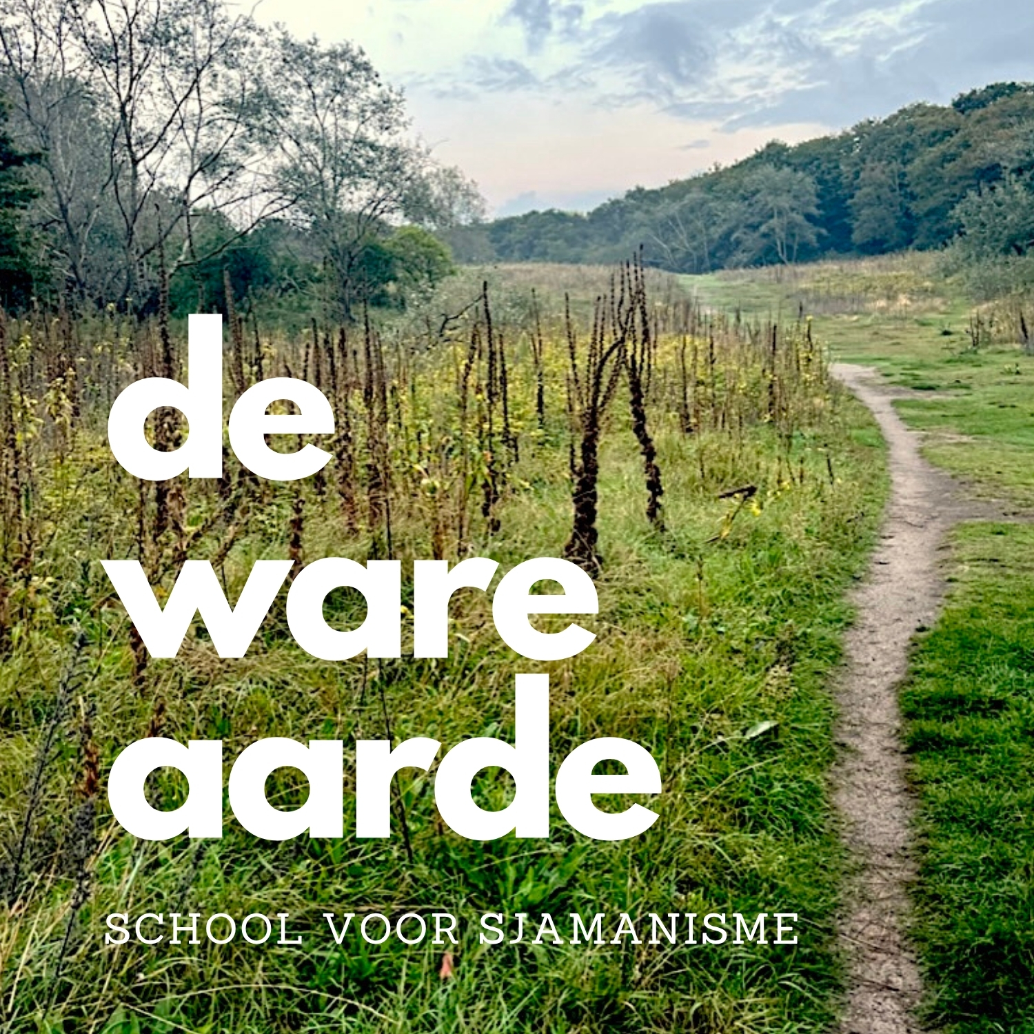 de ware aarde